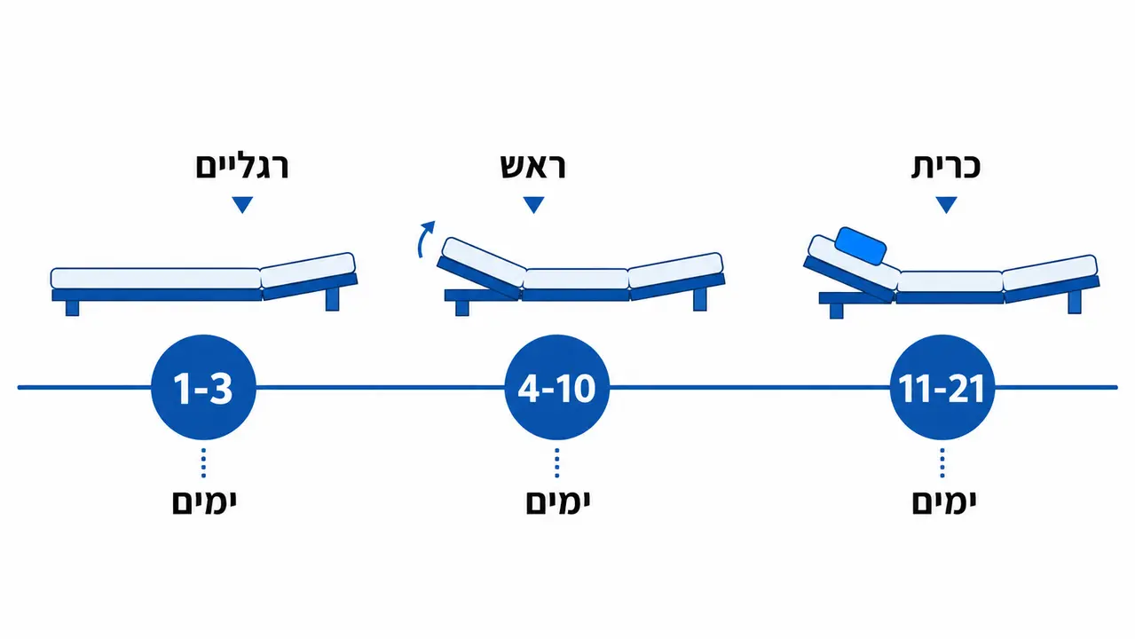 סולם הסתגלות של 21 יום לבסיס מתכוונן