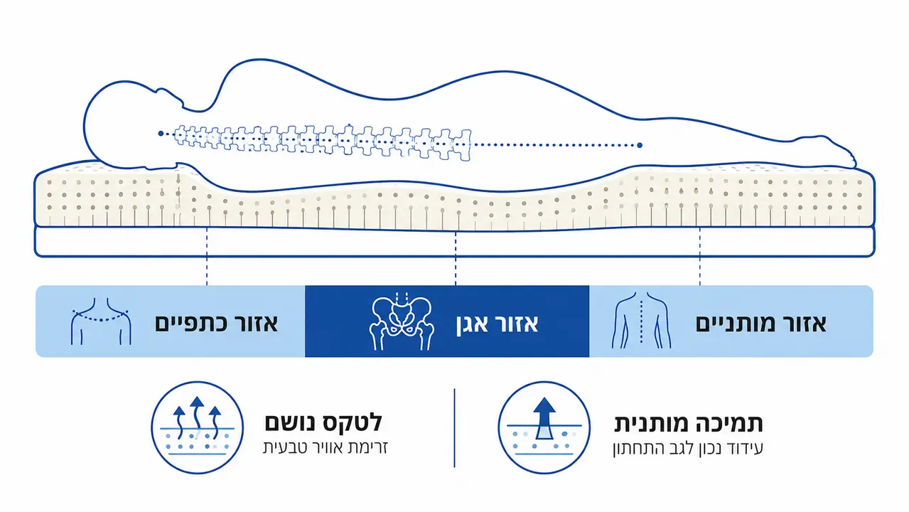 האם מזרון לטקס לכאבי גב באמת עוזר?