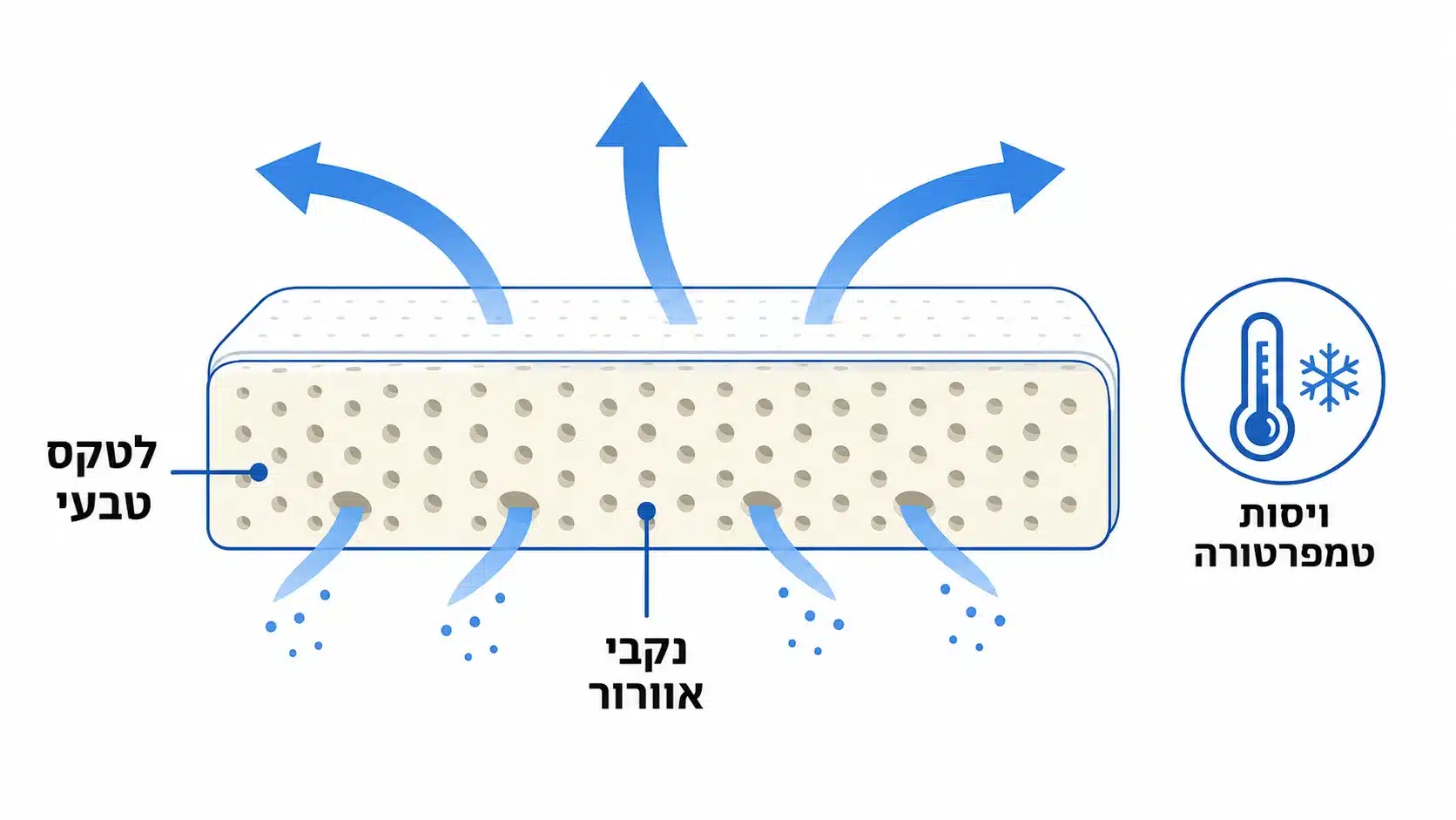 מבנה החומר של לטקס טבעי ונקבי אוורור