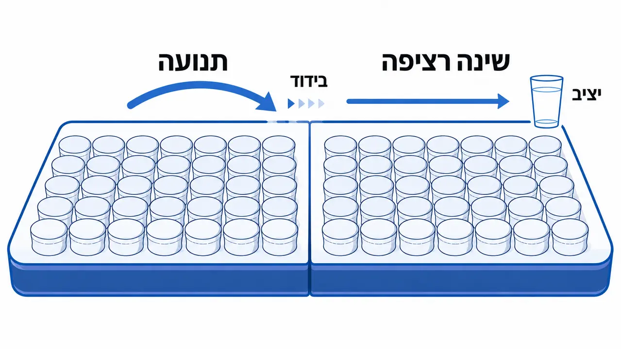 בידוד תנועה במזרן זוגי והשפעתו על התאוששות הספורטאי